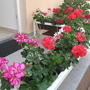 Marelja - Private Parking And Balcony Apartament
